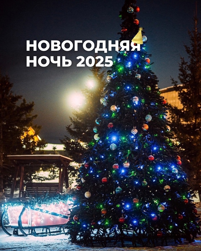 Новогодняя ночь 2025